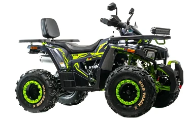 Квадроцикл MOTOLAND (МОТОЛЕНД)  VOX200 WILD TRACK X WINCH (баланс. вал)