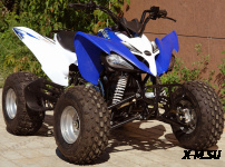 Квадроцикл MOTOLAND (МОТОЛЕНД) 150S