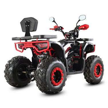 Квадроцикл WHITE SIBERIA BARS L200