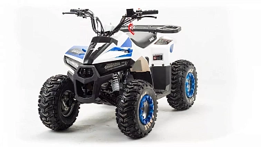 Квадроцикл MOTOLAND (МОТОЛЕНД) 110 EAGLE