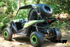 Багги UTV PROMAX Ranger 250