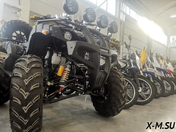 Квадроцикл PROMAX LEO 300 Max (кардан)