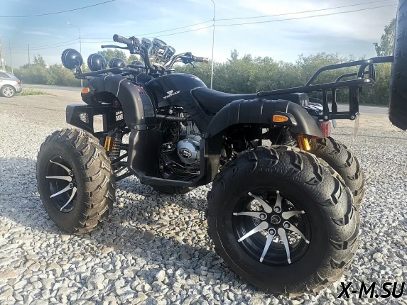 Квадроцикл PROMAX LEO 300 Max (кардан)