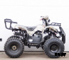 Квадроцикл STALKER 150