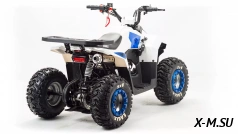 Квадроцикл MOTOLAND (МОТОЛЕНД) 110 EAGLE