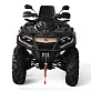 Квадроцикл AODES Pathcross ATV650L PRO EPS 2025г.